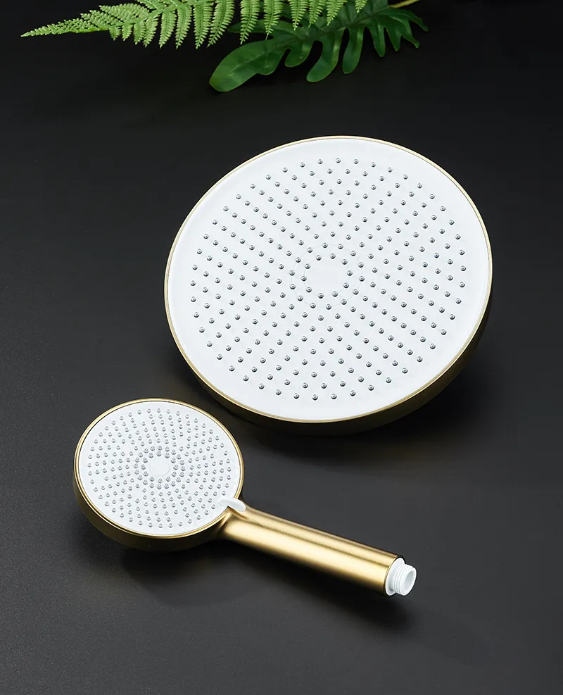 Self Cleaning Shower Head With Universal Interface